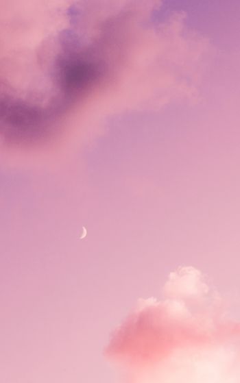 month, pink sky Wallpaper 1752x2800