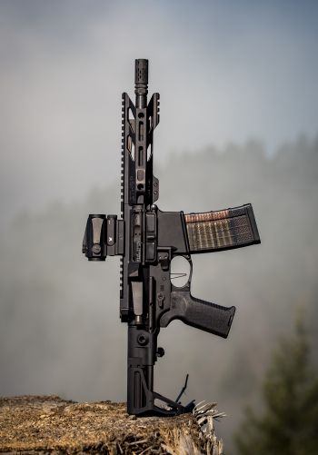 AR-15 STNGR, weapon, machine Wallpaper 1668x2388