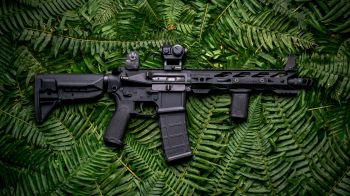 AR-15 STNGR, machine, fern Wallpaper 2560x1440