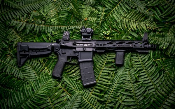 AR-15 STNGR, machine, fern Wallpaper 1920x1200