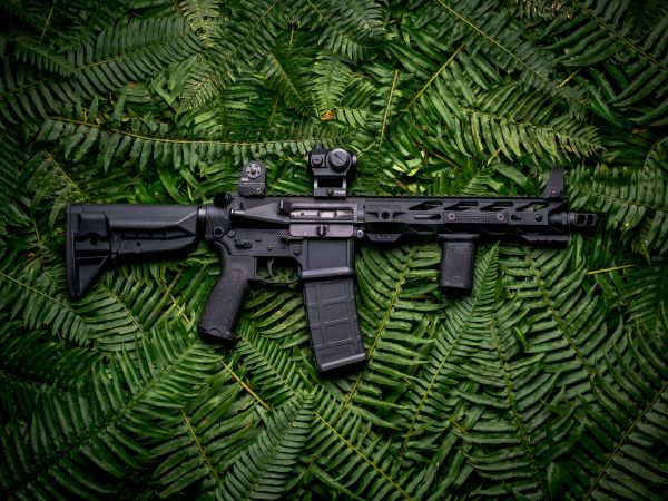 AR-15 STNGR, machine, fern Wallpaper 800x600