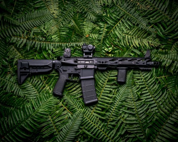 AR-15 STNGR, machine, fern Wallpaper 3000x2399
