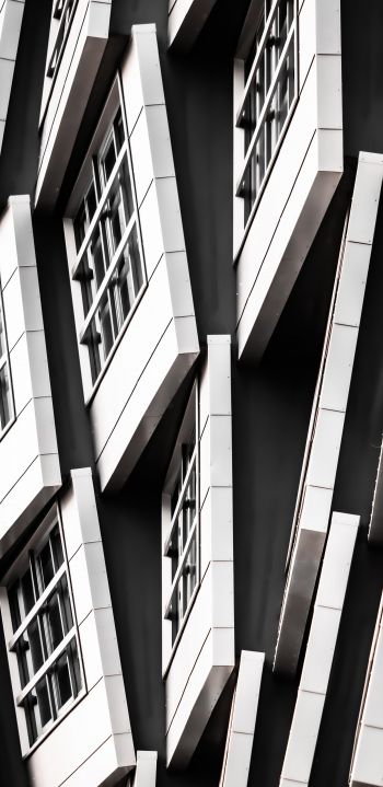 building, black and white Wallpaper 1080x2220