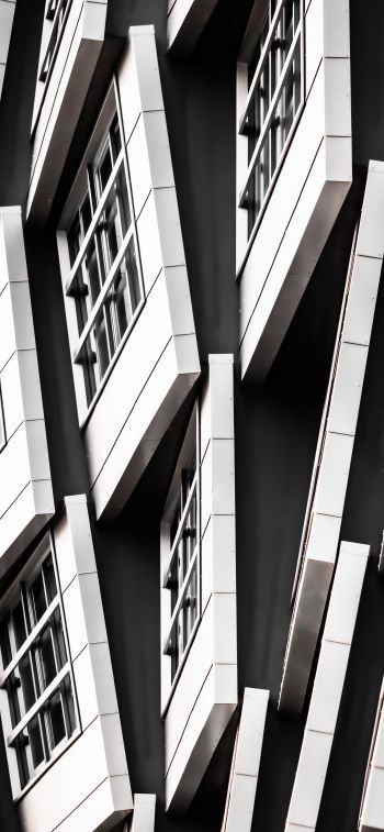 building, black and white Wallpaper 1125x2436