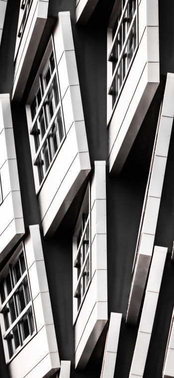 building, black and white Wallpaper 1080x2340