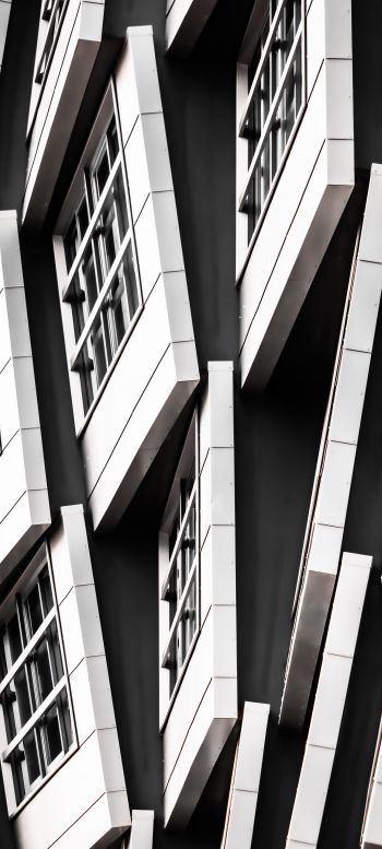 building, black and white Wallpaper 1080x2400