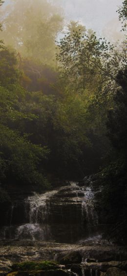 waterfall, forest, green Wallpaper 1080x2340