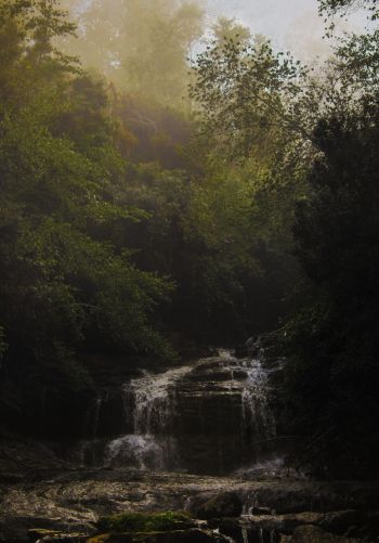 waterfall, forest, green Wallpaper 1668x2388