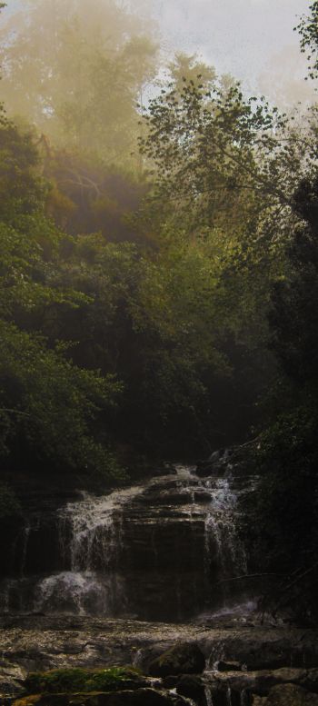 waterfall, forest, green Wallpaper 1080x2400