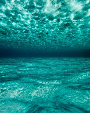 underwater, blue, sea Wallpaper 2846x3557