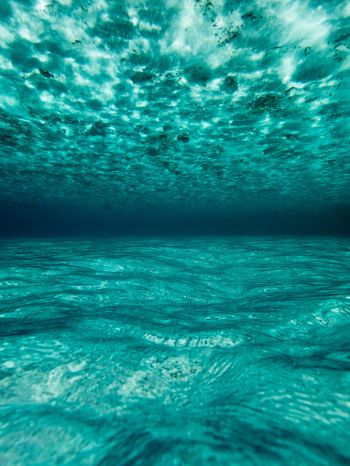 Обои 1668x2224 под водой, голубой, море