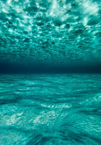 underwater, blue, sea Wallpaper 1668x2388