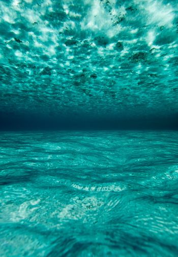 underwater, blue, sea Wallpaper 1640x2360