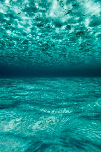 underwater, blue, sea Wallpaper 640x960