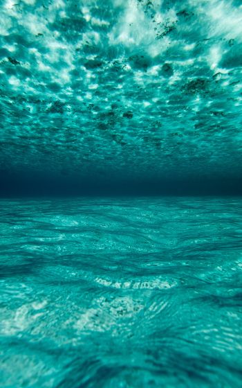 Обои 1600x2560 под водой, голубой, море