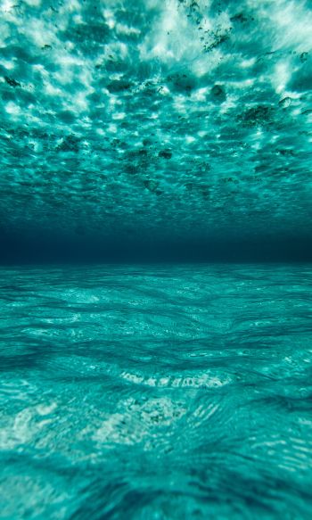 Обои 1200x2000 под водой, голубой, море