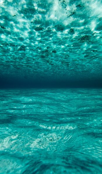 Обои 600x1024 под водой, голубой, море