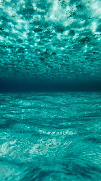 Обои 1080x1920 под водой, голубой, море