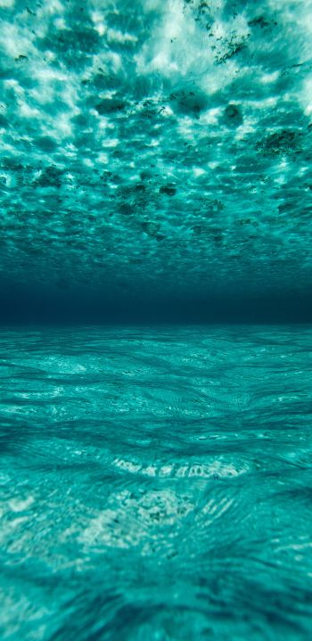 Обои 1440x2960 под водой, голубой, море