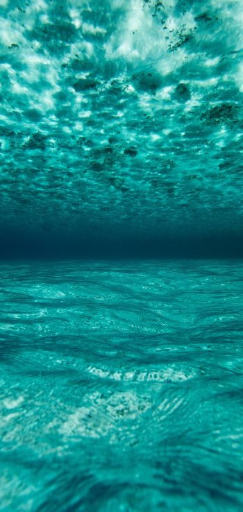 Обои 1440x3040 под водой, голубой, море