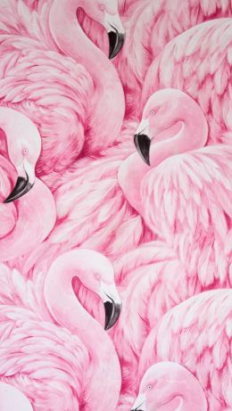 Обои 640x1136 розовый фламинго, рисунок