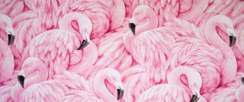 Обои 2560x1080 розовый фламинго, рисунок
