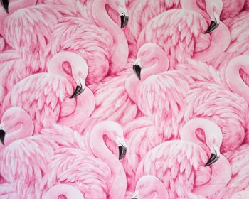 Обои 1280x1024 розовый фламинго, рисунок