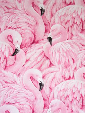 pink flamingo, figure Wallpaper 1620x2160