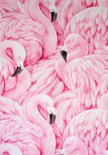 pink flamingo, figure Wallpaper 1668x2388