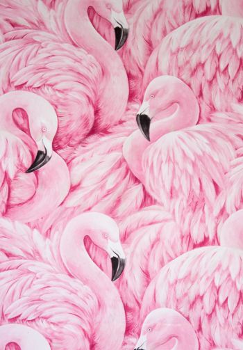 Обои 1640x2360 розовый фламинго, рисунок