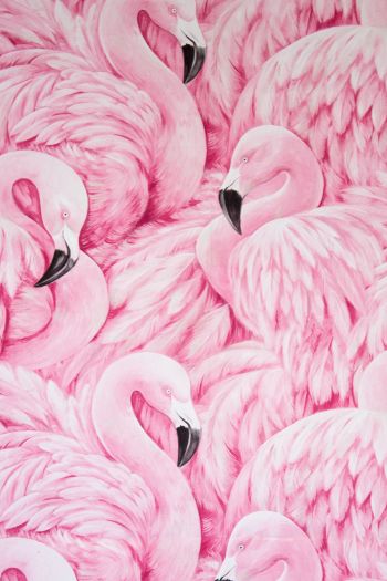 Обои 640x960 розовый фламинго, рисунок