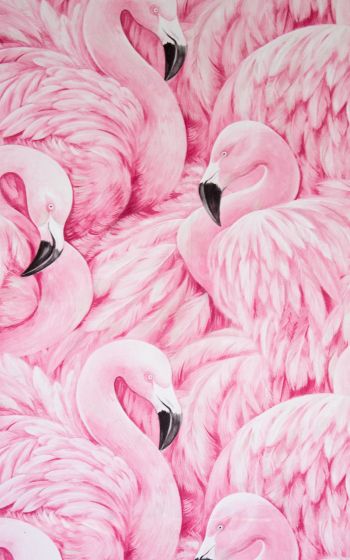 Обои 1600x2560 розовый фламинго, рисунок
