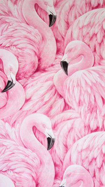 Обои 640x1136 розовый фламинго, рисунок