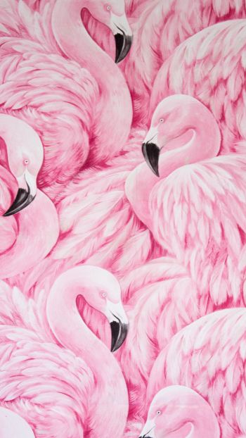 Обои 1440x2560 розовый фламинго, рисунок