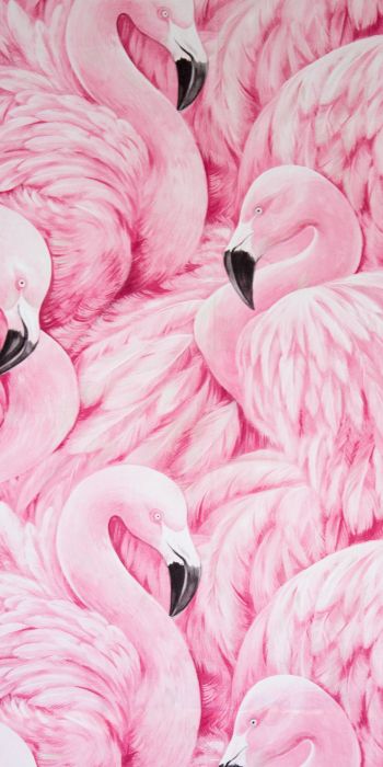 Обои 720x1440 розовый фламинго, рисунок