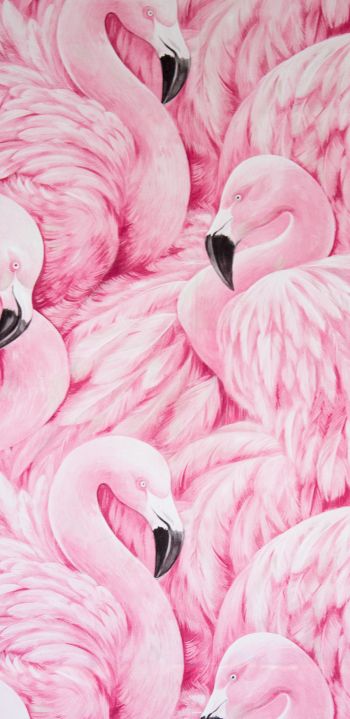 Обои 1080x2220 розовый фламинго, рисунок
