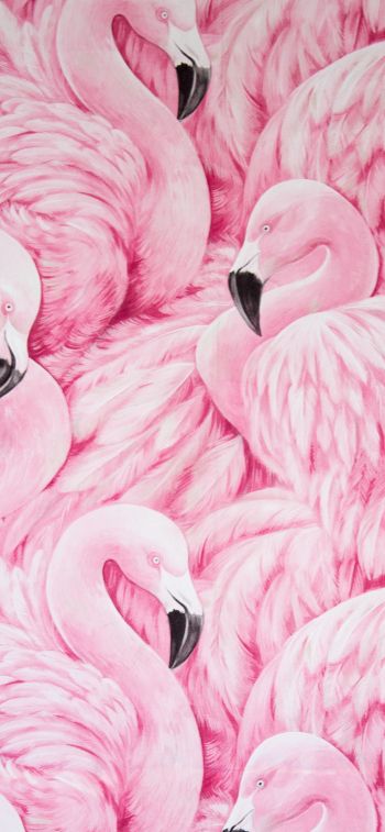Обои 828x1792 розовый фламинго, рисунок
