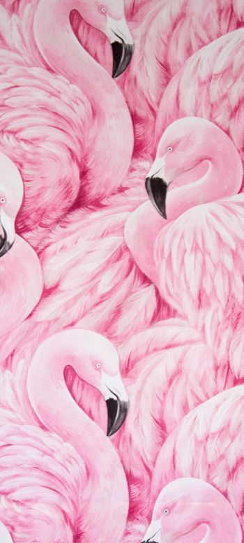 Обои 1440x3200 розовый фламинго, рисунок