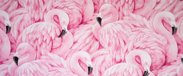 Обои 3440x1440 розовый фламинго, рисунок