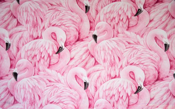 pink flamingo, figure Wallpaper 1920x1200
