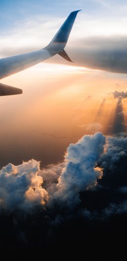 airplane wing, sunlight, flight Wallpaper 1080x2220