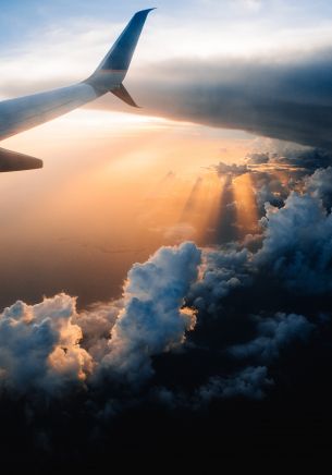 airplane wing, sunlight, flight Wallpaper 1668x2388