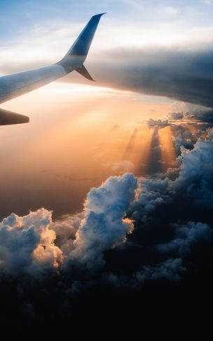 airplane wing, sunlight, flight Wallpaper 1752x2800