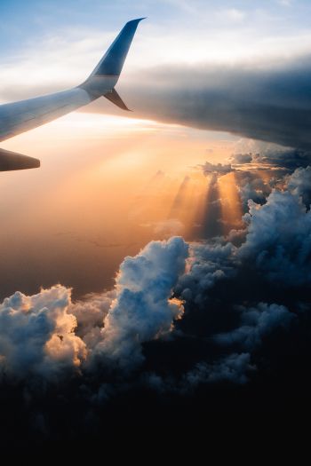airplane wing, sunlight, flight Wallpaper 640x960
