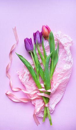 Обои 600x1024 букет тюльпанов, фиолетовый, цветочная композиция