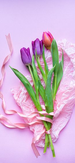 bouquet of tulips, purple, flower arrangement Wallpaper 1284x2778