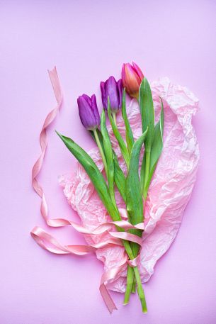 bouquet of tulips, purple, flower arrangement Wallpaper 4912x7360