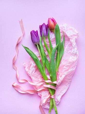 Обои 1668x2224 букет тюльпанов, фиолетовый, цветочная композиция