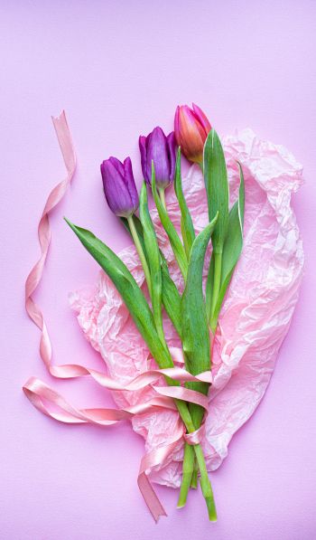 bouquet of tulips, purple, flower arrangement Wallpaper 600x1024