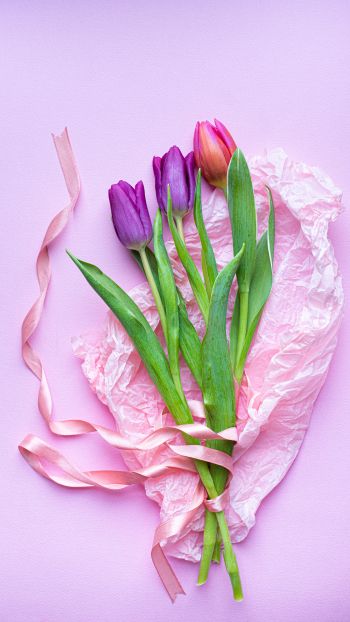 Обои 1440x2560 букет тюльпанов, фиолетовый, цветочная композиция